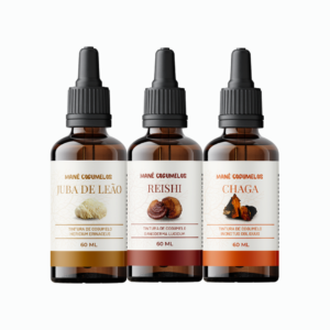 Kit 3 unidades de 60 ml - Juba de Leão + Reishi + Chaga