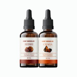 Kit 2 unidades de 60ml - Reishi + Chaga