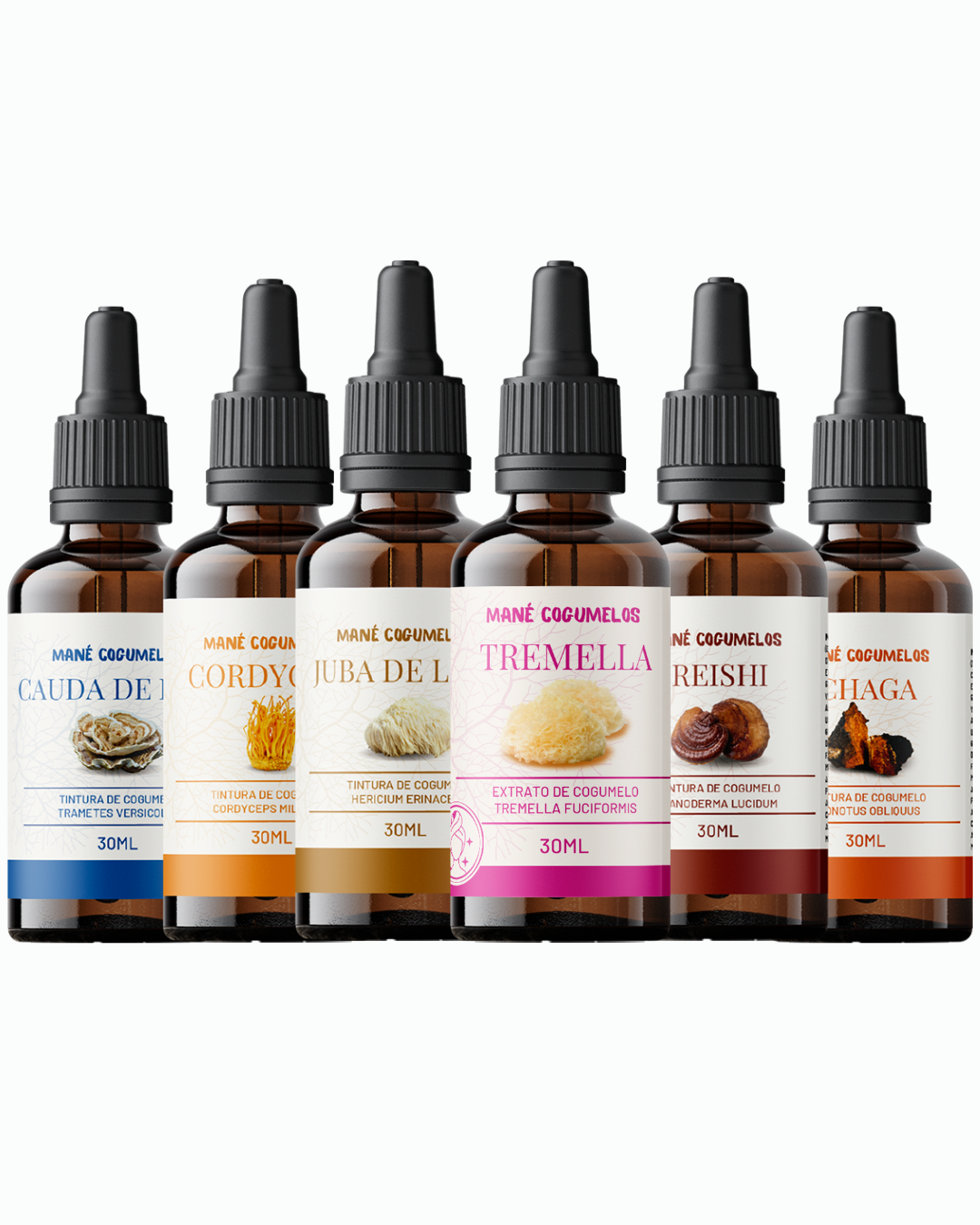 Kit 6 unidades de 30ml - Cauda de Peru + Cordyceps + Juba de Leão + Reishi + Chaga + Tremella